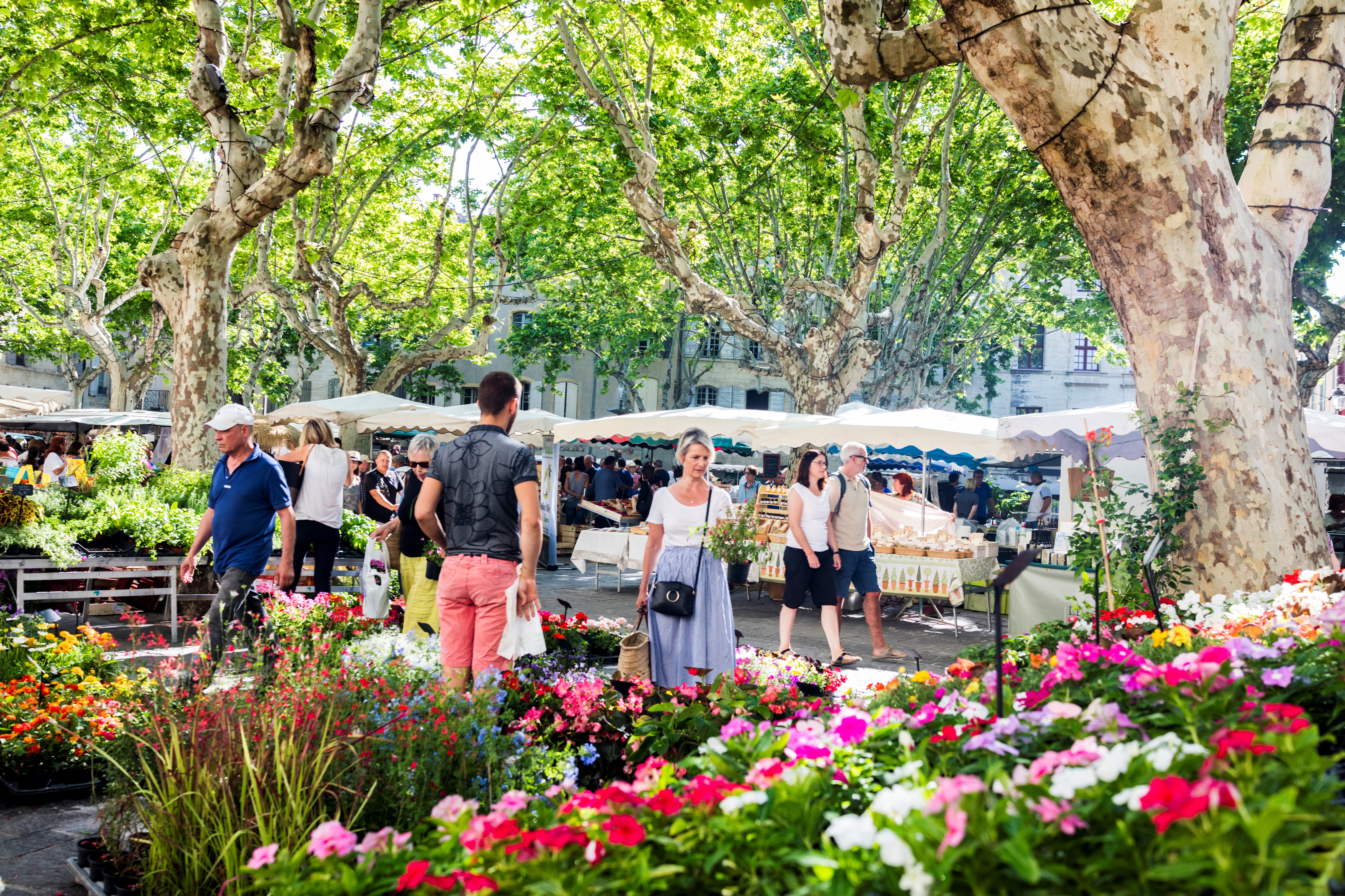 Marché d'Uzès