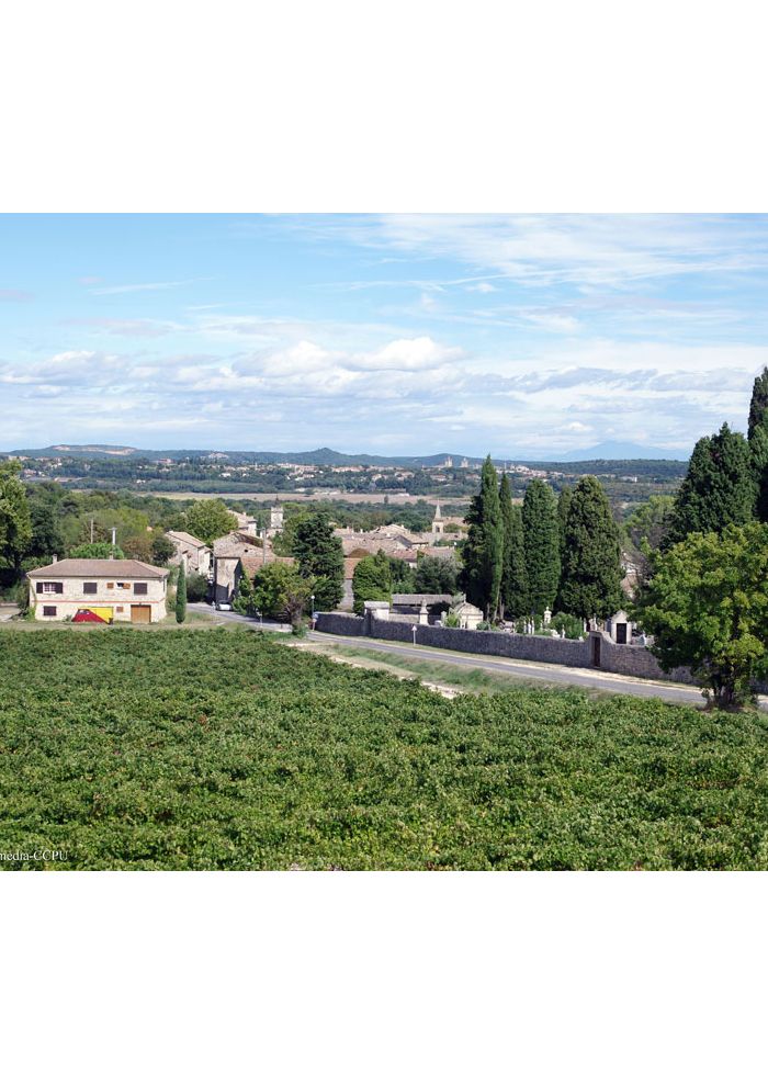 Visite guidée Histoires de clochers Arpaillargues