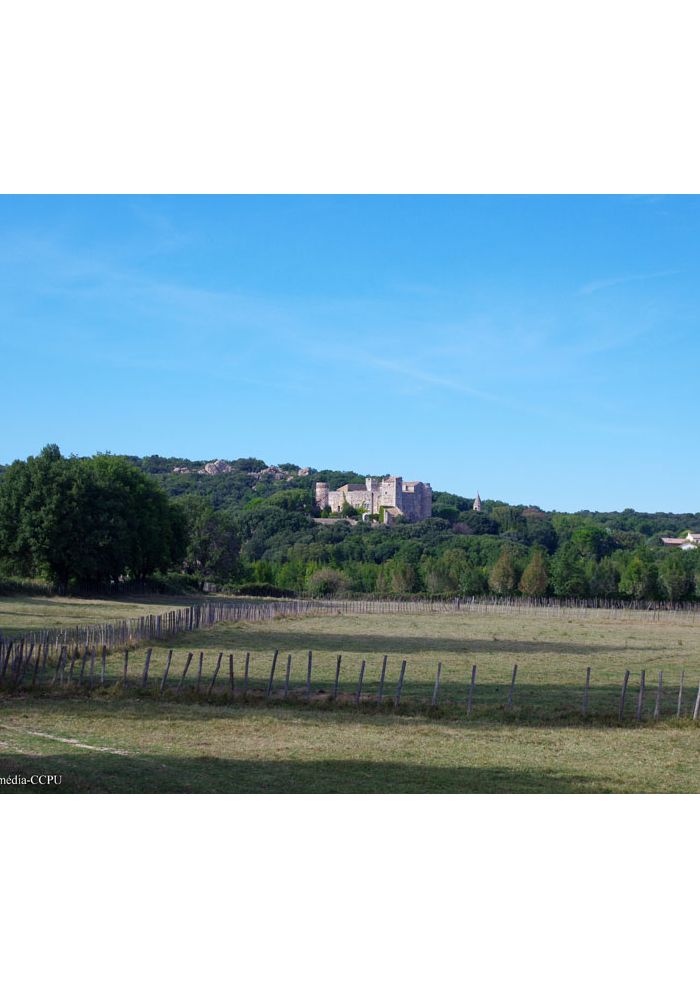 Visite guidée Histoires de clochers La Capelle Masmolène