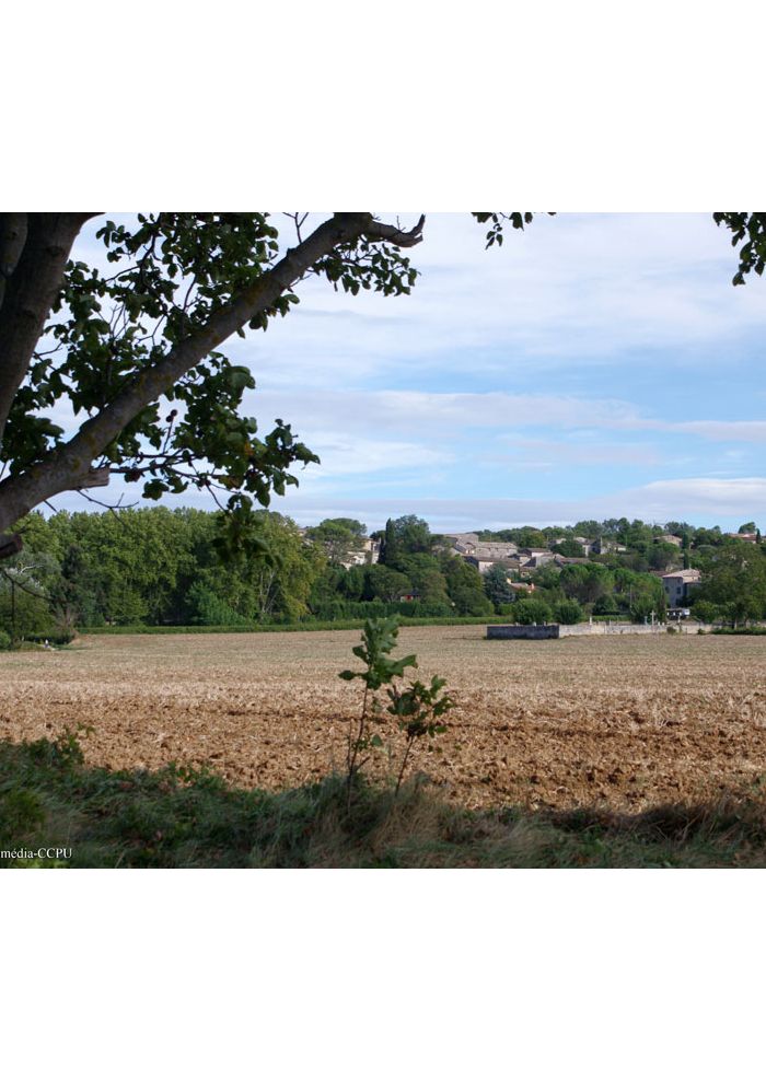 Visite guidée Histoires de clochers Sanilhac et Sagriès