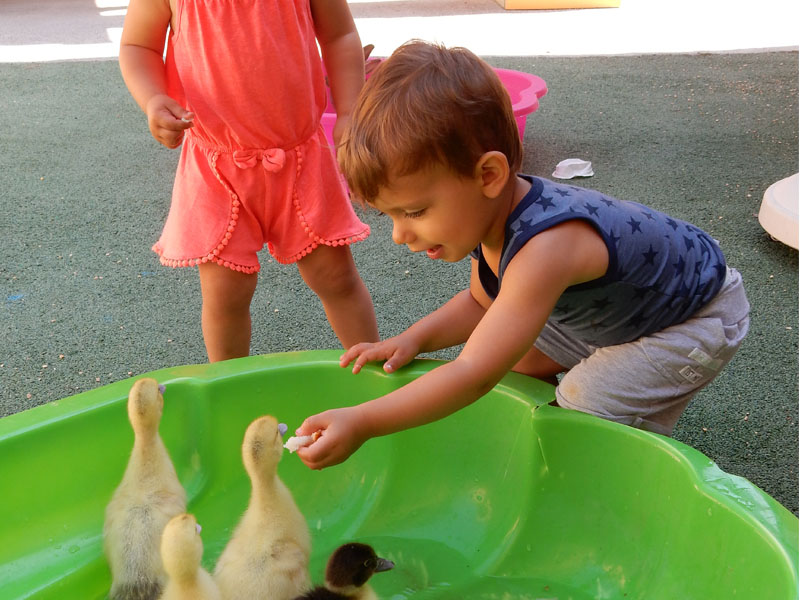 Micro Creche La Bruguiere 2