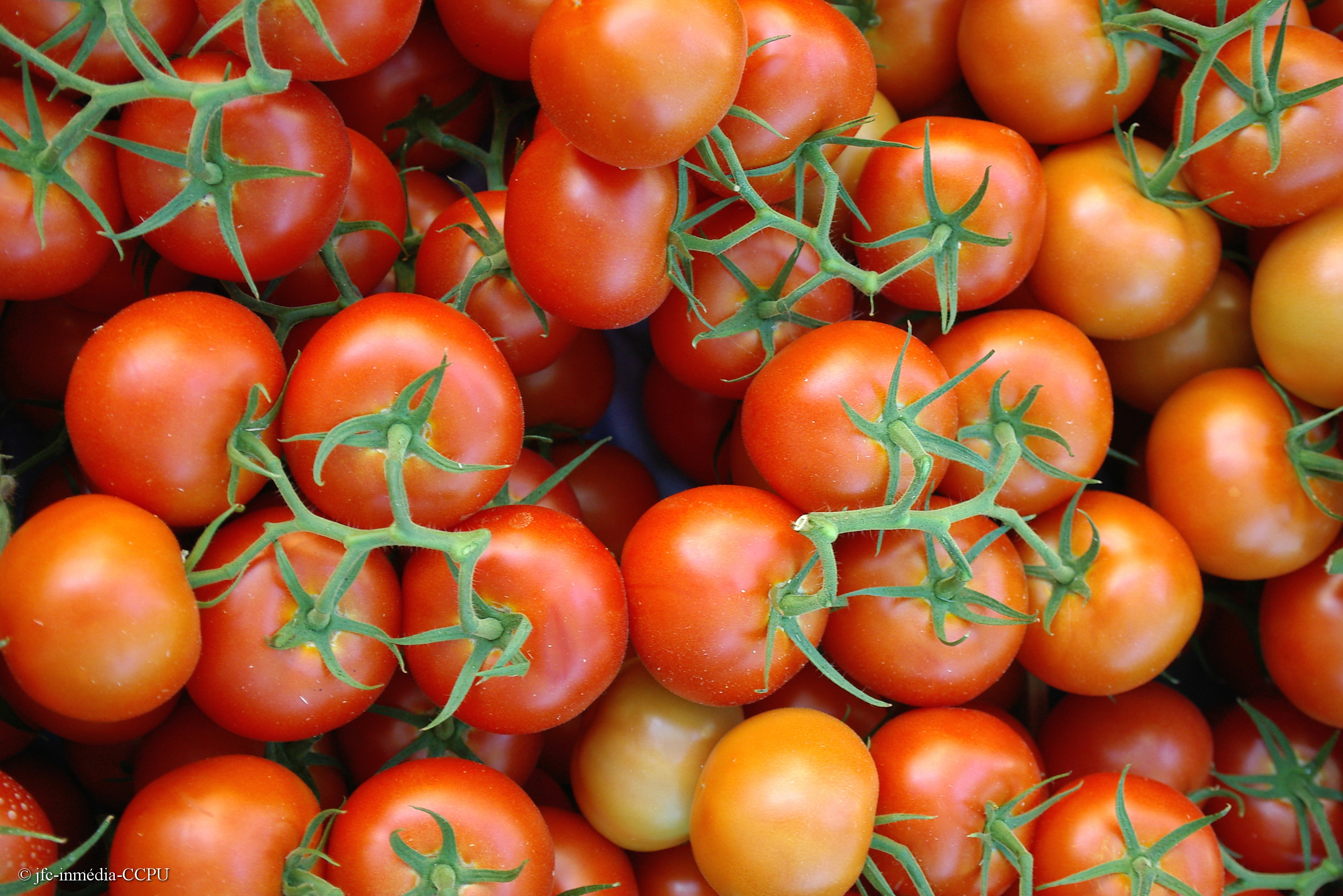Comité de promotion Agricole d'Uzès Liste des producteurs locaux